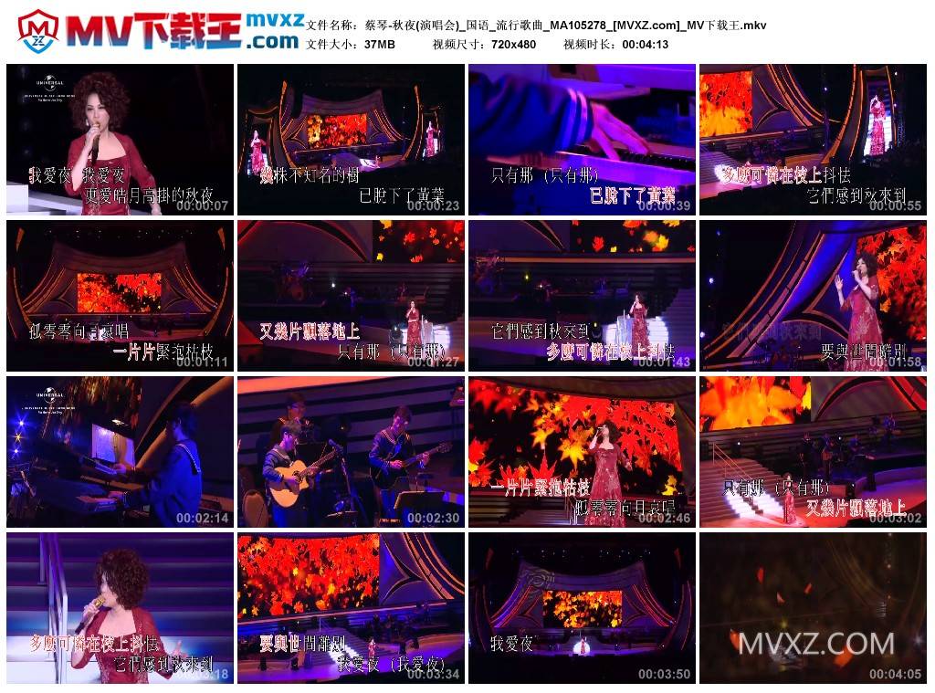 蔡琴-秋夜(演唱会)_国语_流行歌曲_MA105278